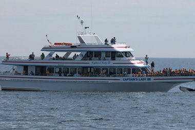 Newburyport Whale Watch