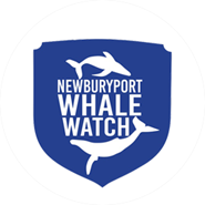 Newburyport Whale Watch