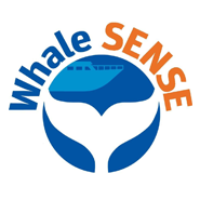 Whale Sense