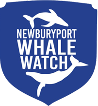 Newburyport Whale Watch