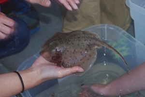 Hands on with wildlife